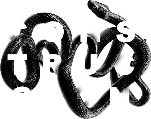 Página en construcción